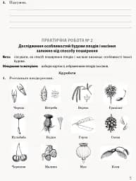 Біологія і екологія. Профільний рівень. Зошит для практичних робіт. 11 клас - мініатюра 8
