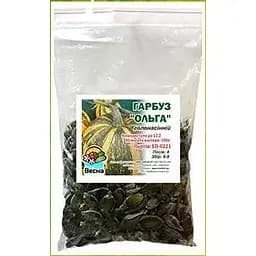 Насіння Весна Гарбуз Ольга 100 г (52271)