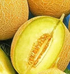 Насіння Весна Диня Медова казка Великий пакет 4 г (183844)