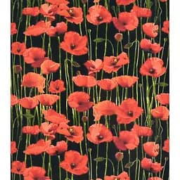 Алмазная мозаика Маковое поле SK86881 40х50 см