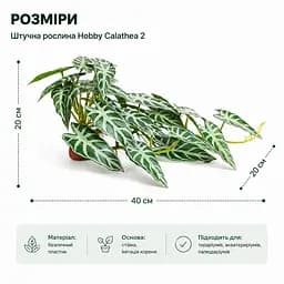 Штучна рослина Hobby Calathea 2 40x20 см (37715) для тераріуму, акватераріуму та палюдаріуму - мініатюра 2
