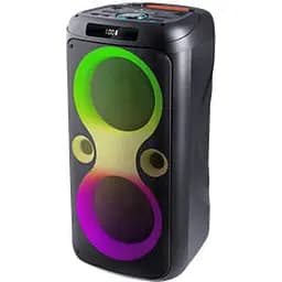 Портативна акустика Defender Boomer 100 100Вт Black (65099) (7202790)