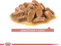 Набір вологого корму Royal Canin Ageing 11+ повнораціонний для котів віком від 11 років шматочки у соусі 1.02 кг (12 шт. х 85 г) - мініатюра 2