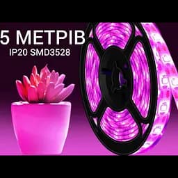 Світлодіодна фітолента для кімнатних рослин фітолампа 12V повний спектр 5 метрів від мережі SMD 2835 - мініатюра 2