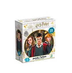 Пазл Medium-S "Harry Potter. Гарри и друзья" 250 элементов 200498 DoDo, в коробке (4823115908612)