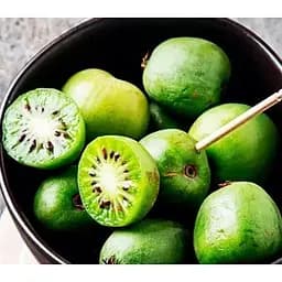 Саджанець Agro-Market Актинідія Фігурна (міні-ківі, морозостійкий сорт, пізній термін дозрівання) 1 саджанець (23358)