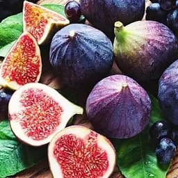 Саджанець Agro-Market Інжир Київський Великоплідний (35895) 1 шт. в упаковці