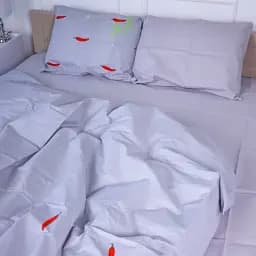 Комплект постільної білизни MirSon Ranforce Elite 17-4754 Benvenuto 200 х 220 см