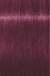 Фарба-міксвідтінок для волосся Schwarzkopf Professional Igora Royal New відтінок 0-89 червоно-фіолетовий концентрат 60 мл (2686854) - мініатюра 2