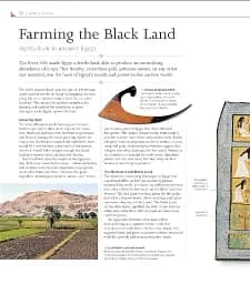 The Definitive Visual History. Ancient Egypt - мініатюра 3