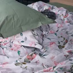 Наволочка MirSon Поплін 00-9 Birds and Flowers 50х70 см зелена (2200009709203)