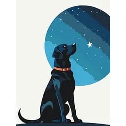 Картина за номерами "Зоряний пес" Art Craft 11714-AC 30х40 см