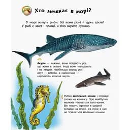 Енциклопедія дошкільника Океани та моря Ранок 614055 для найменших - мініатюра 2