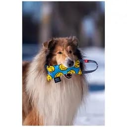 Іграшка для собак Waudog Fun з пискалкою Смайли на блакитному M - мініатюра 5