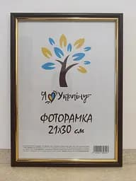 Фоторамка 21Х30, (А4), вишнева із золотою вставкою, 1515-х412, СКЛО + КАРТОН                                       