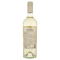 Вино Tierra Telteca Torrontes біле сухе 0.75 л - мініатюра 2