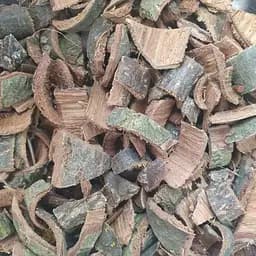 Дуб кора сушеная - свежий урожай 100 г 