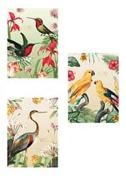 Комплект 3 шт общих тетрадей. Тетрадь Школярик А4 40 л. в линию 548 4823088205312