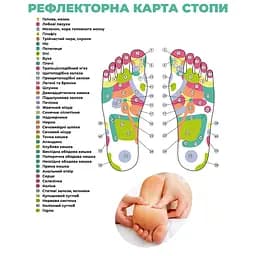 Масажер зубчастий дерев'яний для стоп 14.5 см, Woodly 84216 - мініатюра 5