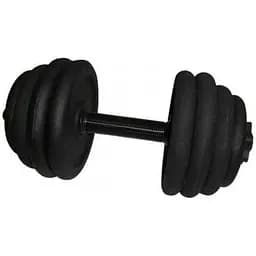 Гантель складальна лита Newt 18.5 кг NE-300-GP019