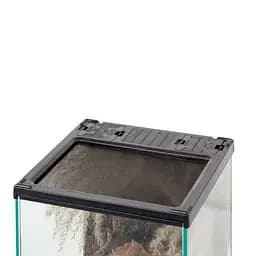 Тераріум Repti-Zoo RHK19SG 21x21x30см (HK19) - мініатюра 6