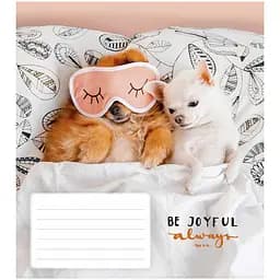 Зошит учнівський Школярик Be joyful always в лінію 18 аркушів 25 шт. (018-3263L) - мініатюра 4