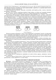 Біологія. ЗНО та НМТ. Комплексне видання. ЗНО та НМТ. 2025 - мініатюра 8