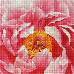 Алмазна мозаїка Ideyka Барвиста півонія AMO7273 40х40 см