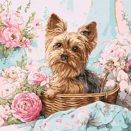 Набор для рисования по номерам "Йорк в кошику" Ideyka 40х40 см КНО6797