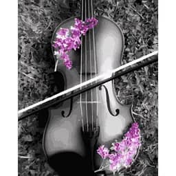 Картина за номерами ArtCraft Музична витонченість 40x50 см (12155-AC)