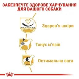 Сухий корм для дорослих собак породи Мопс Royal Canin Pug Adult, 7,5 кг (39857509) - мініатюра 6