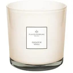 Ароматична свічка Plantes & Parfums Essence de Neroli 1100 мл