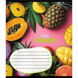 Зошит учнівський "Фруктовий сет" Leader 018-530414K-1 в клітинку, 18 аркушів