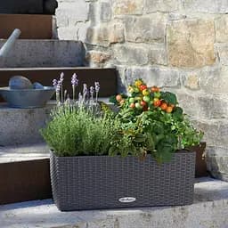 Вазон Lechuza Balconera Cottage, 8 л, гранітовий (15602) - мініатюра 6