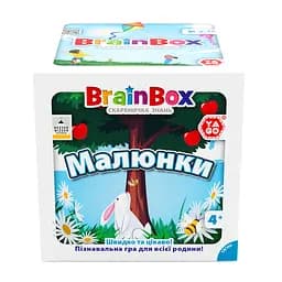 Пізнавальна гра BrainBox Малюнки (BZZBRPI01UA)