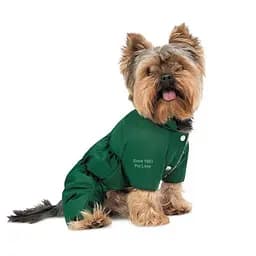 Комбінезон Pet Fashion EGO ХS зелений для собак - мініатюра 2
