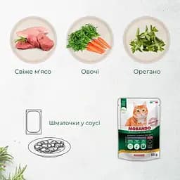 Вологий корм для стерилізованих котів Morando Tradizioni Sterilized беззерновий шматочки у соусі з індичкою та морквою 85 г - мініатюра 3