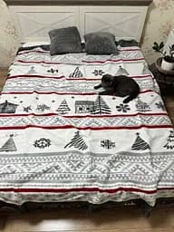 Плед покривало Bridge Полуторний Будиночок зимовий 200х150 Бавовна Білий 