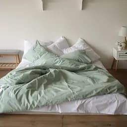 Комплект постельного белья Кретон 100% мятный хлопок Mint - двуспальный