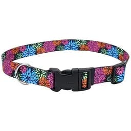 Ошейник для собак Coastal Pet Attire Style 2см x 35-50см (06621_WDF20)