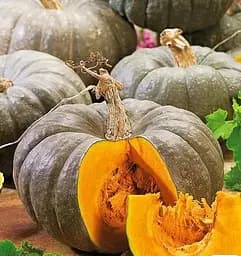 Насіння Весна Гарбуз Сірий чемпіон Зіпер 8 г (177911)