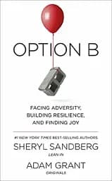 Option B: Facing Adversity, Building Resilience and Finding Joy
