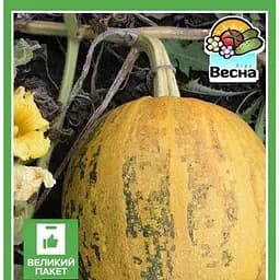 Насіння Весна Гарбуз Голонасінний Великий пакет 8 г (32826)
