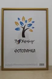 Фоторамка 30х42, золота із золотою вставкою, 1511-0491-11, СКЛО + ДВП                                                                                                                                                                                                                                                                                                                                                