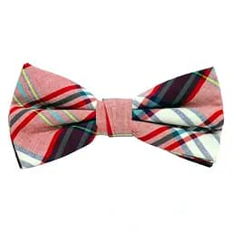 Краватка-метелик Клітинка