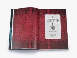 Gothic. An Illustrated History - мініатюра 7