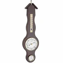 Метеостанция орех TFA Domatic 20103703