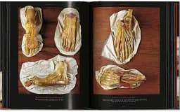Anatomical Waxes. 45th Edition - мініатюра 14