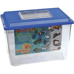 Транспортирующий бокс Amtra экстрабольшой 41 x 26.5 x 30 см