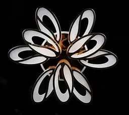 LED люстра світильник з пультом і підсвічуванням Splendid-Ray 30-3981-20 - мініатюра 4